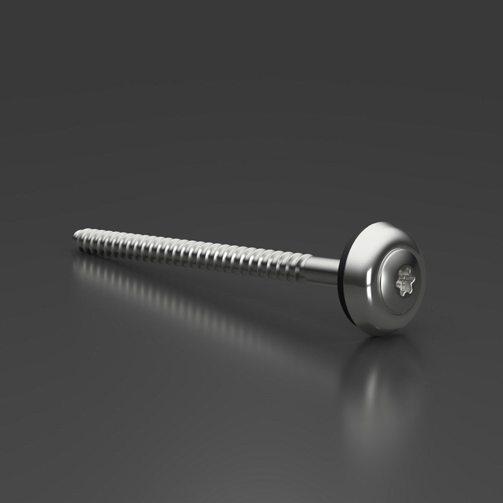 Edelstahl Spenglerschrauben mit Torx Kopf - Detailansicht